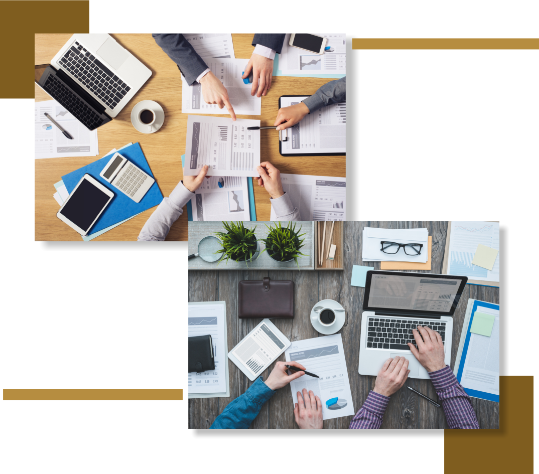 Our Program, Data Analysis